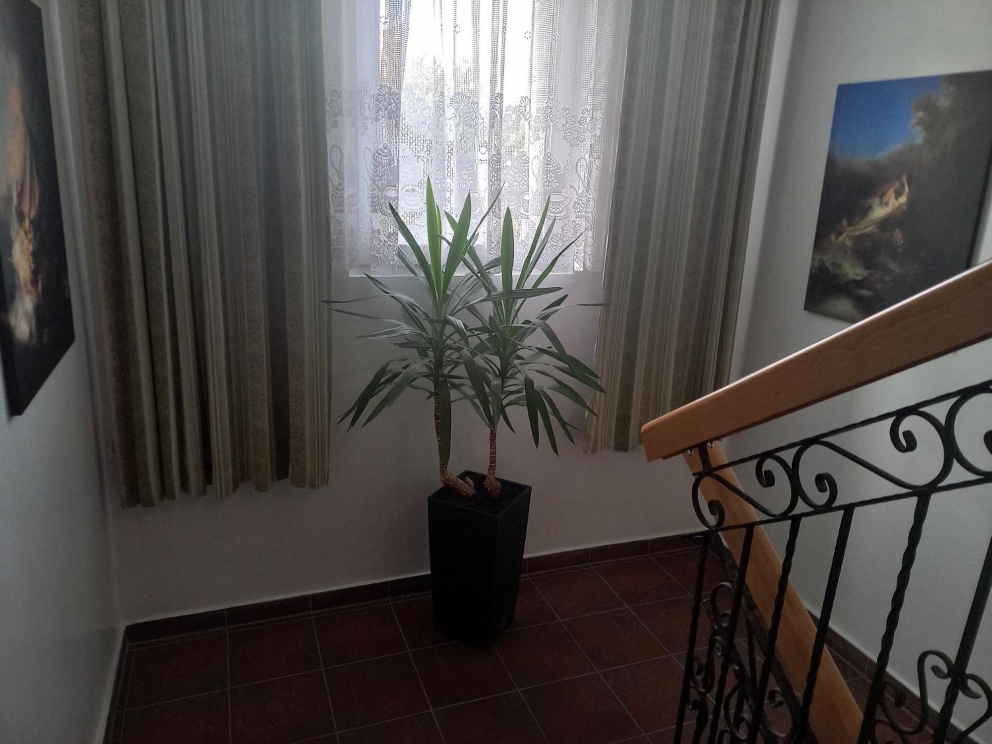 Aparthotel Korona Przy Termach Cieplickich 10Proc Rabatu Do Term 옐레니아구라 외부 사진